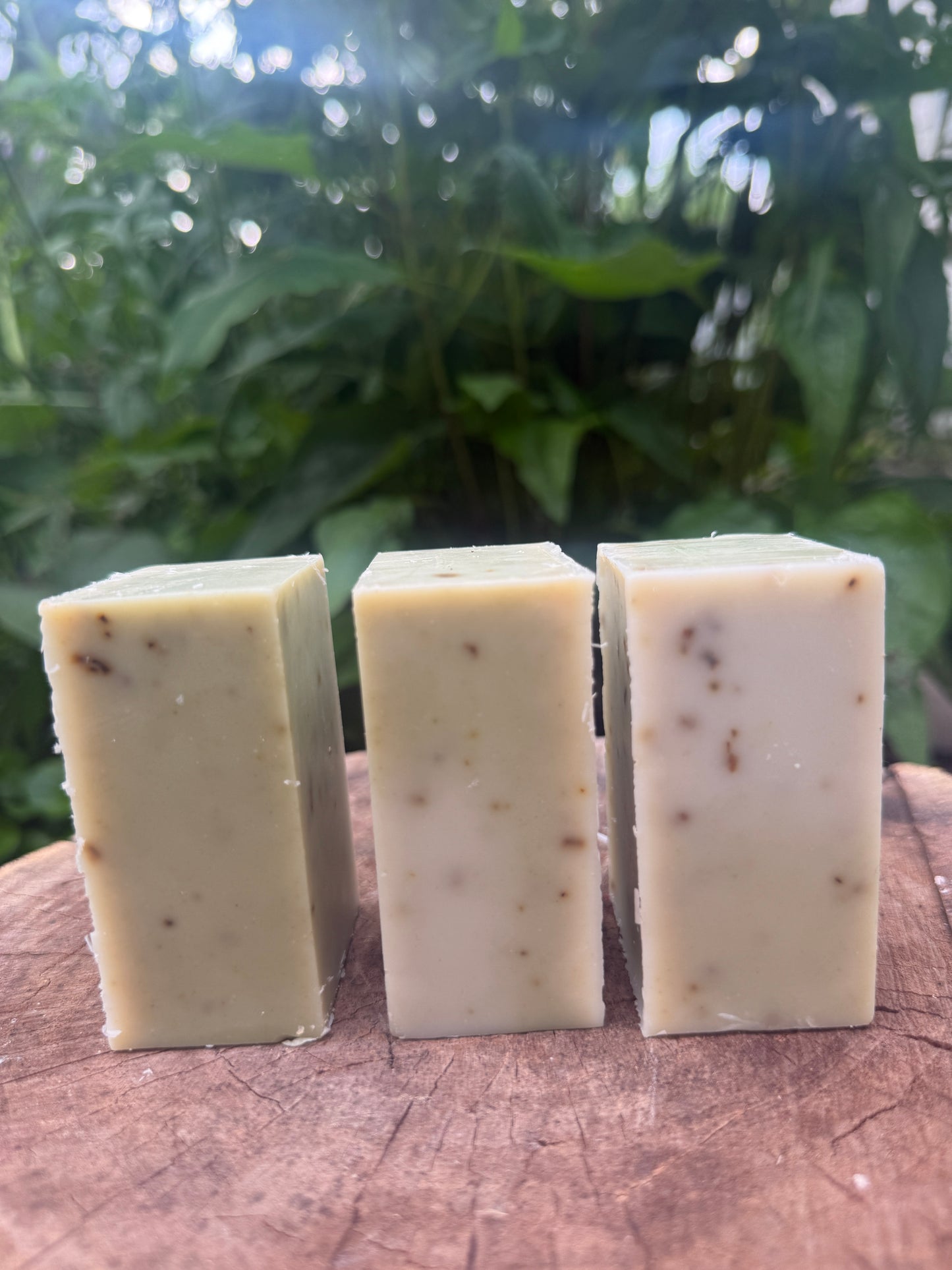 Botanical Soap Bars