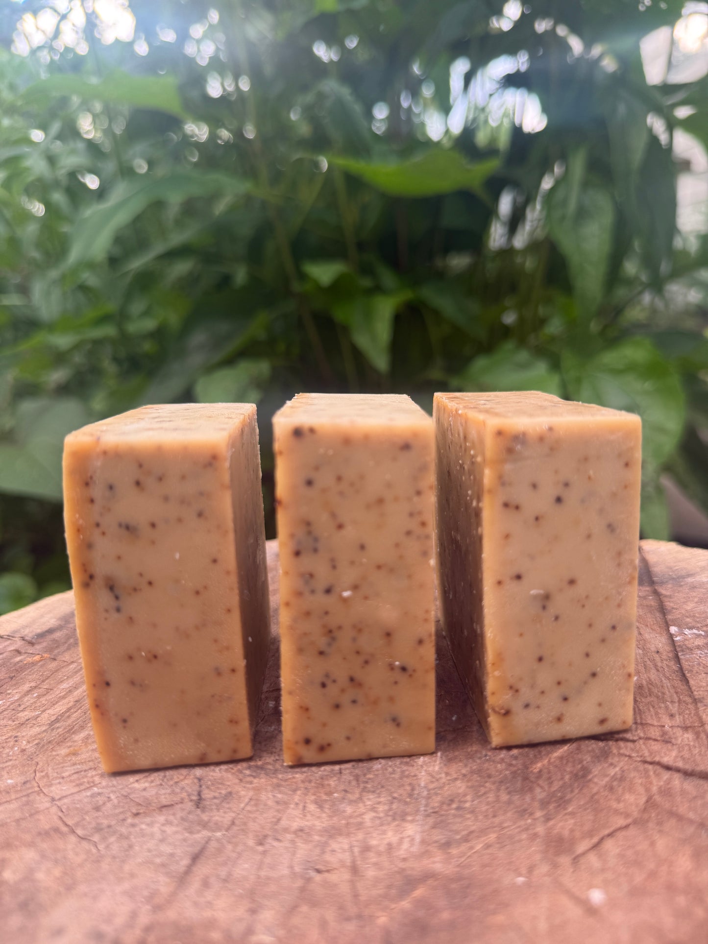 Botanical Soap Bars
