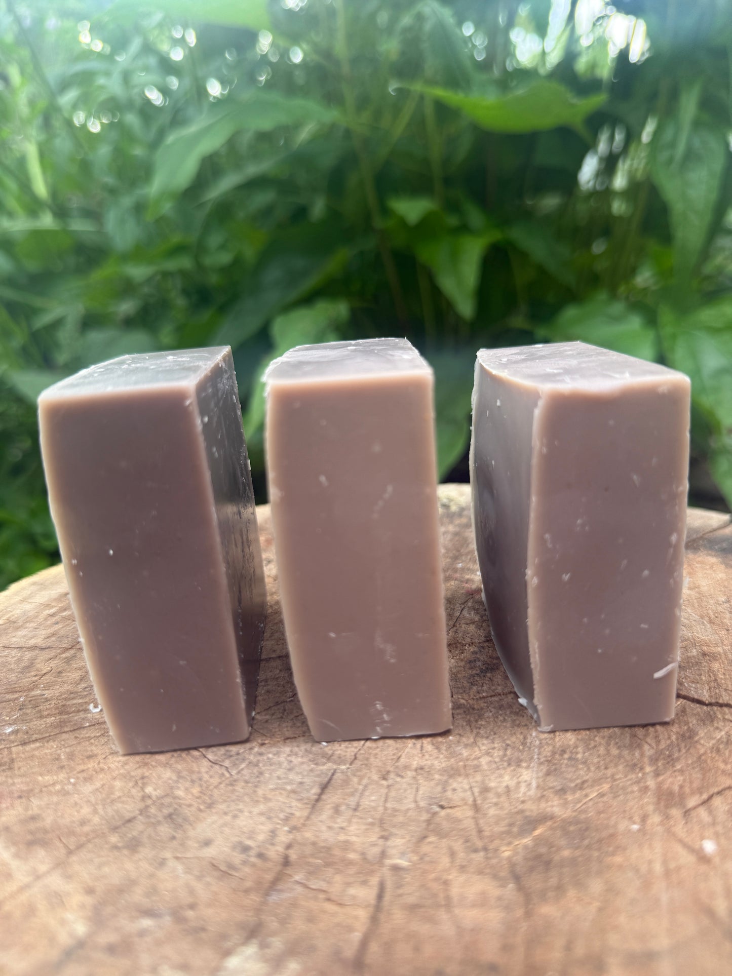 Botanical Soap Bars