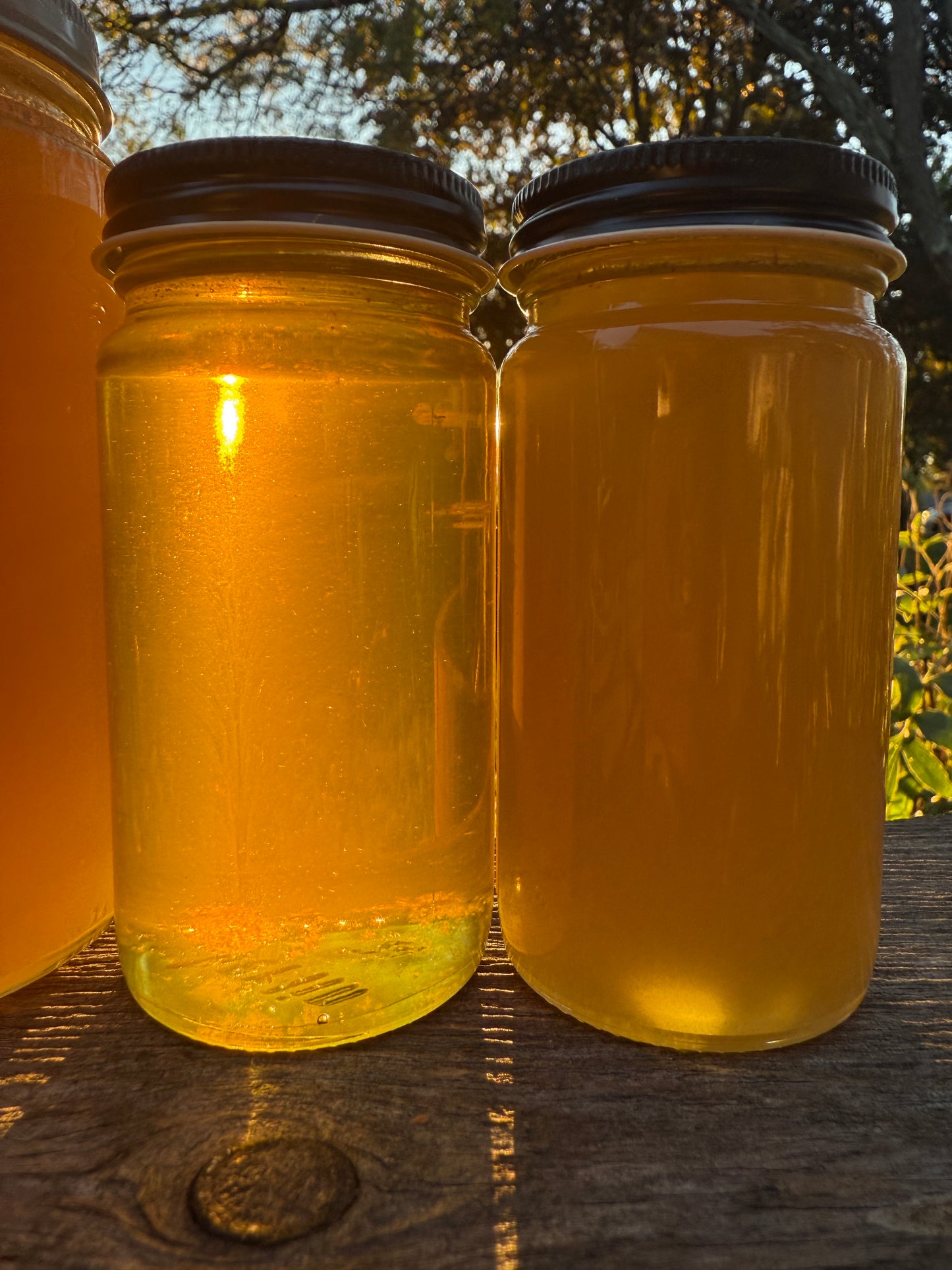 Raw Honey (crystallized)