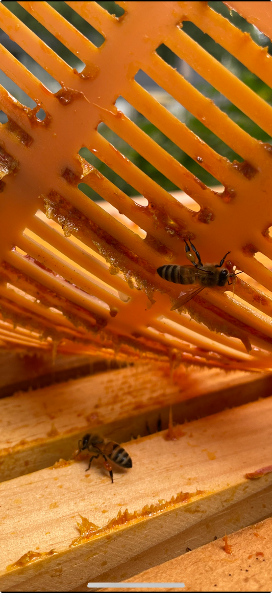 Propolis Spray