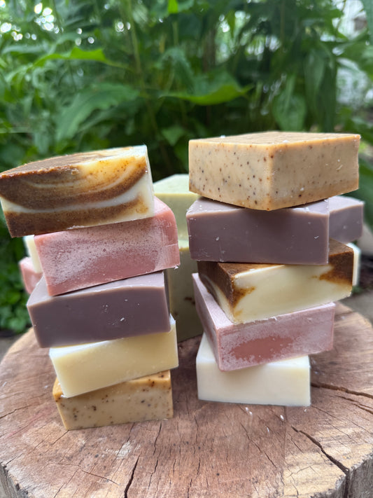 Botanical Soap Bars